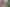 Auckland - Address withheld