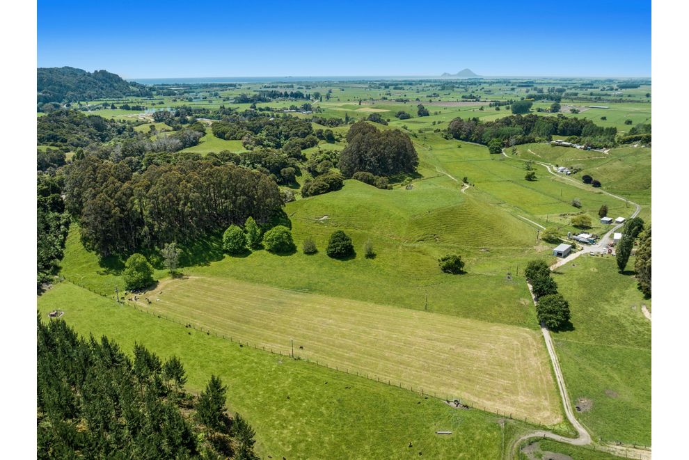 126 Braemar Road, Manawahe, Whakatane For Sale realestate.co.nz