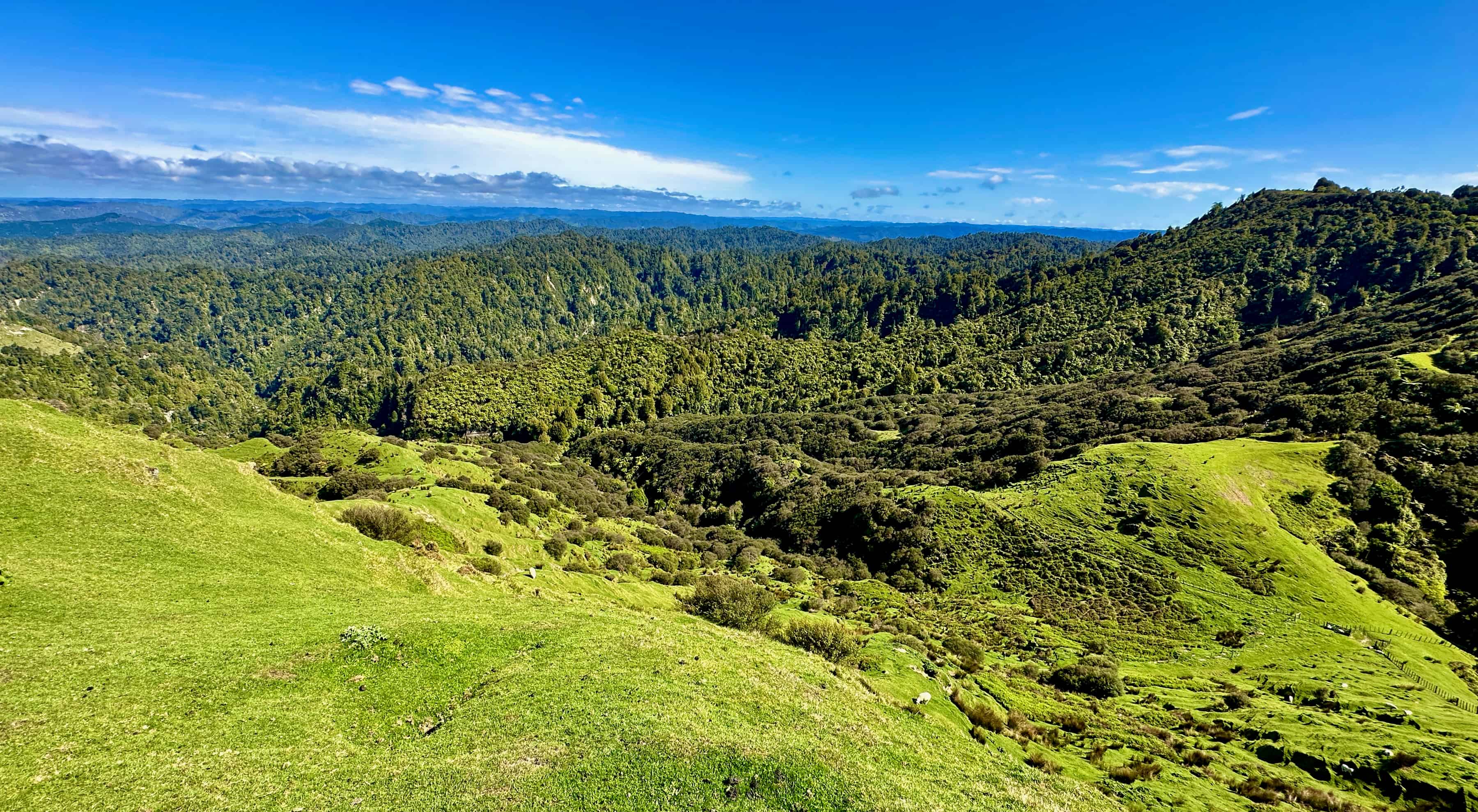 1371 Rangitatau Road, Brunswick, Whanganui For Sale realestate.co.nz