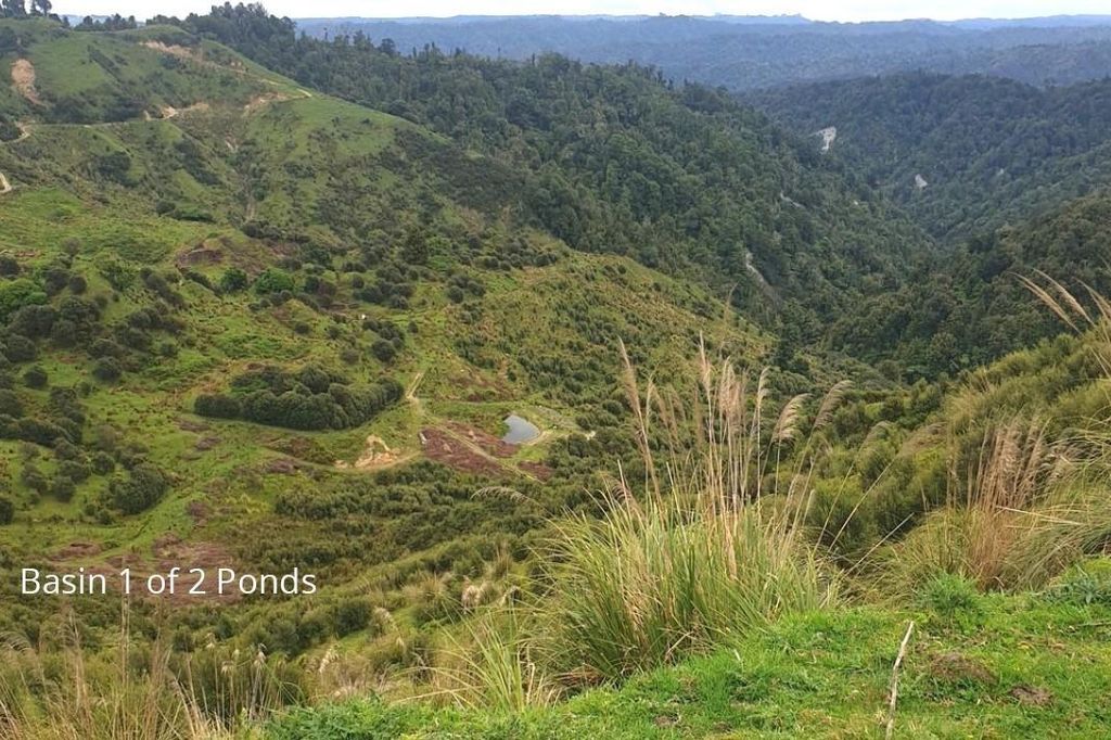 Property value 1231 Okahutiria Road, Waverley realestate.co.nz