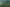 Auckland - Address withheld