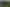 Auckland - Address withheld