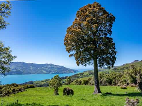 250 Jubilee Road, Wainui