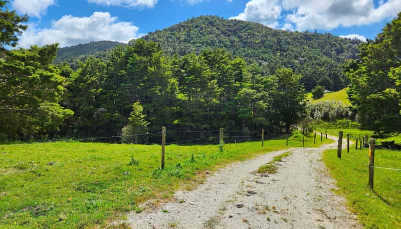 1084 Tangowahine Valley Road, Tangowahine