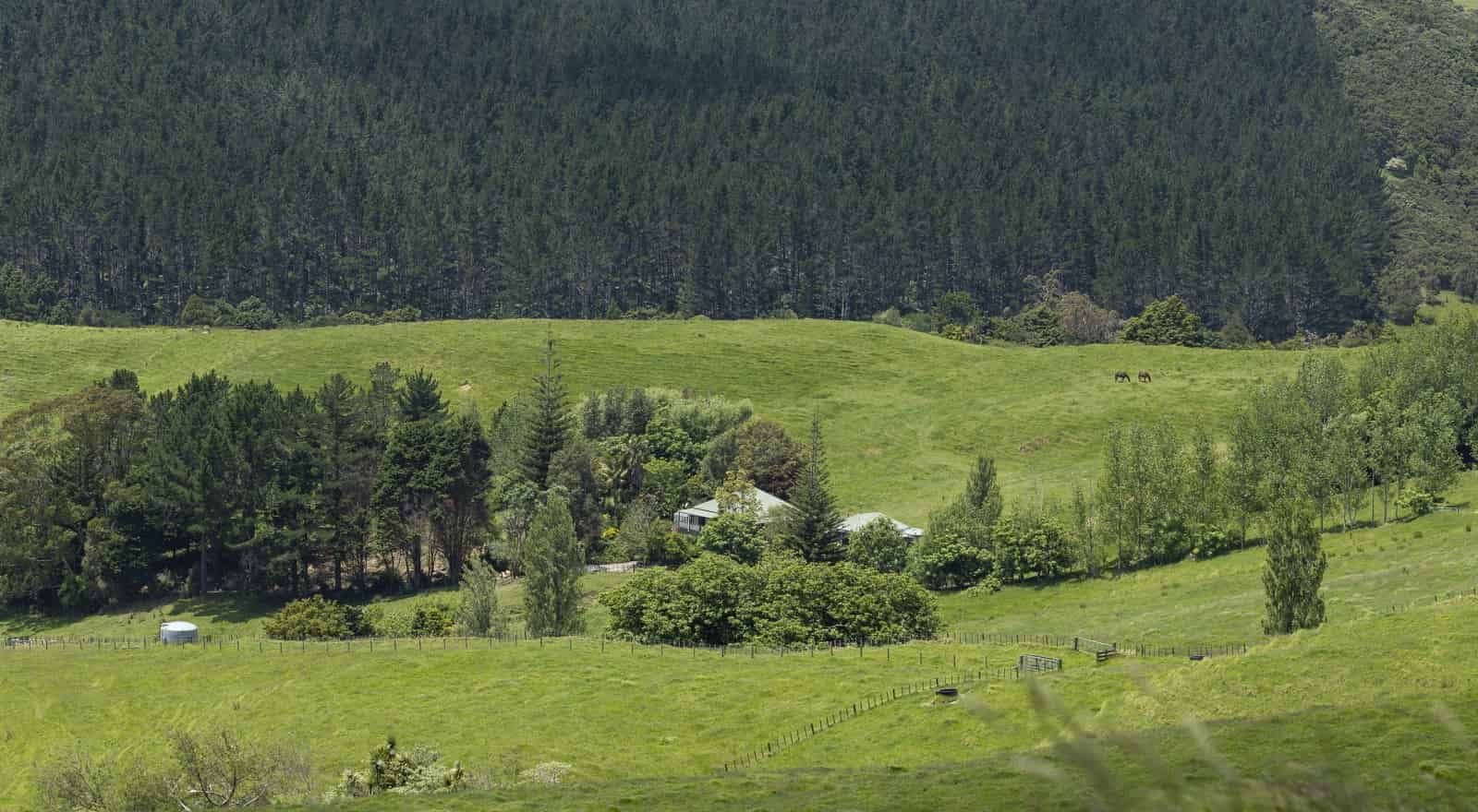 124 Champion Road, Kaingaroa, Far North For Sale realestate.co.nz