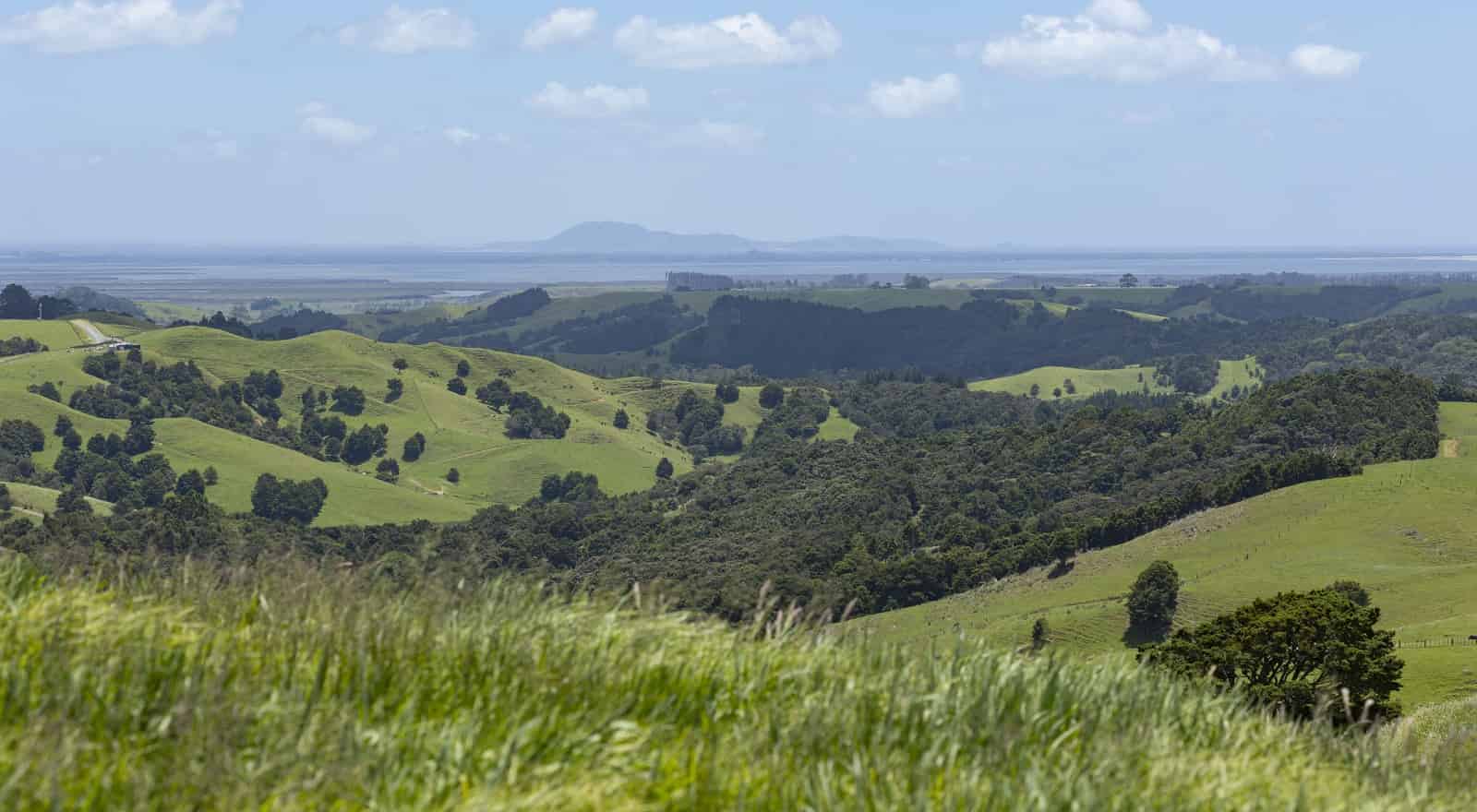 124 Champion Road, Kaingaroa, Far North For Sale realestate.co.nz