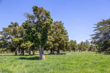 635 Chester Road, West Taratahi