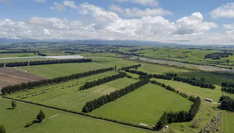  Caldwell Road, Ongaonga