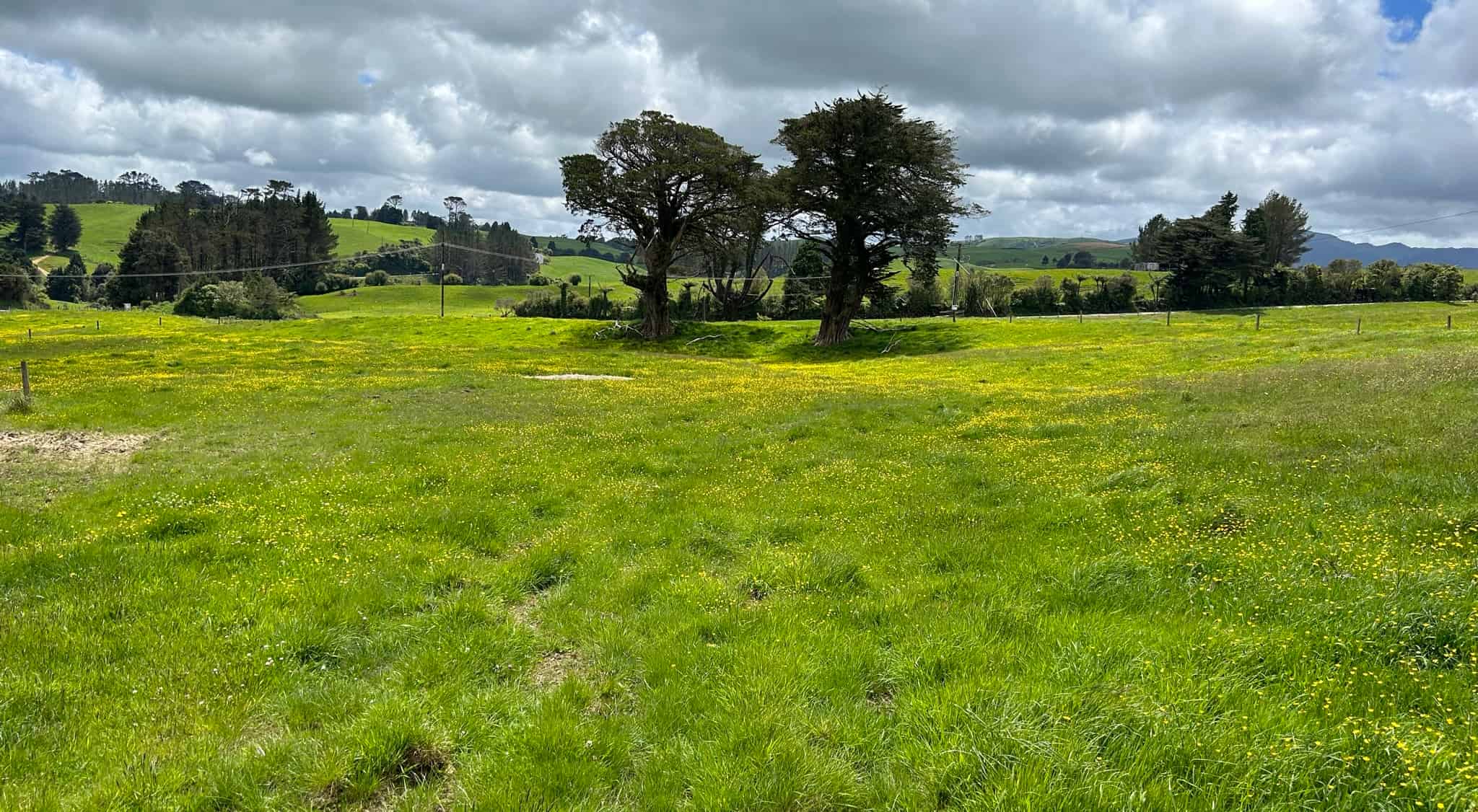 2868 SH 31, Kawhia Road, Pirongia, Waipa For Sale realestate.co.nz