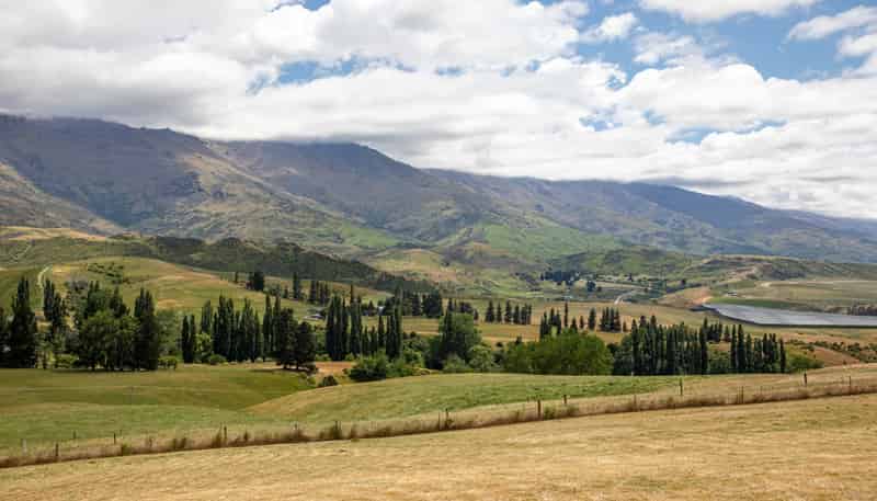 259A Heaney Road, Cromwell