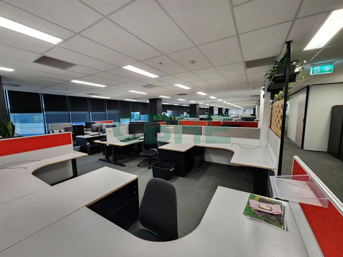 CBRE - Spacious and Modern Greenlane Office – pohled 4