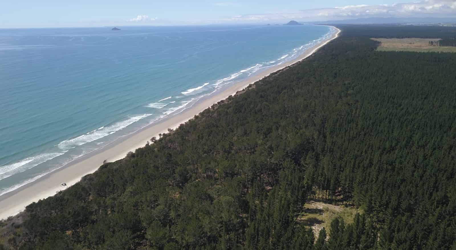 Beach Front, Matakana Island, Western Bay Of Plenty For Sale