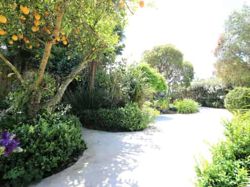 13 Marlin Place, Whiritoa