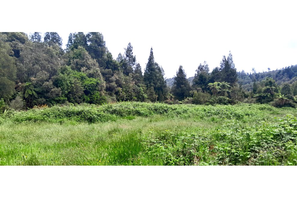 Wangapeka Road, Little Wanganui, Buller For Sale realestate.co.nz