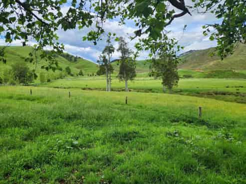 201 Pond Road, Raglan