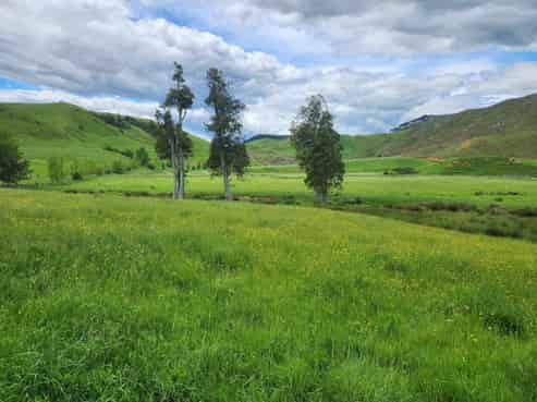 201 Pond Road, Raglan