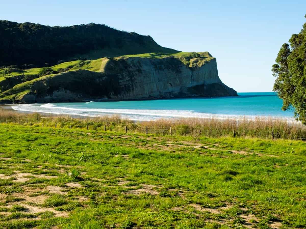 Gisborne Rural Farms and Real Estate for Sale realestate.co.nz