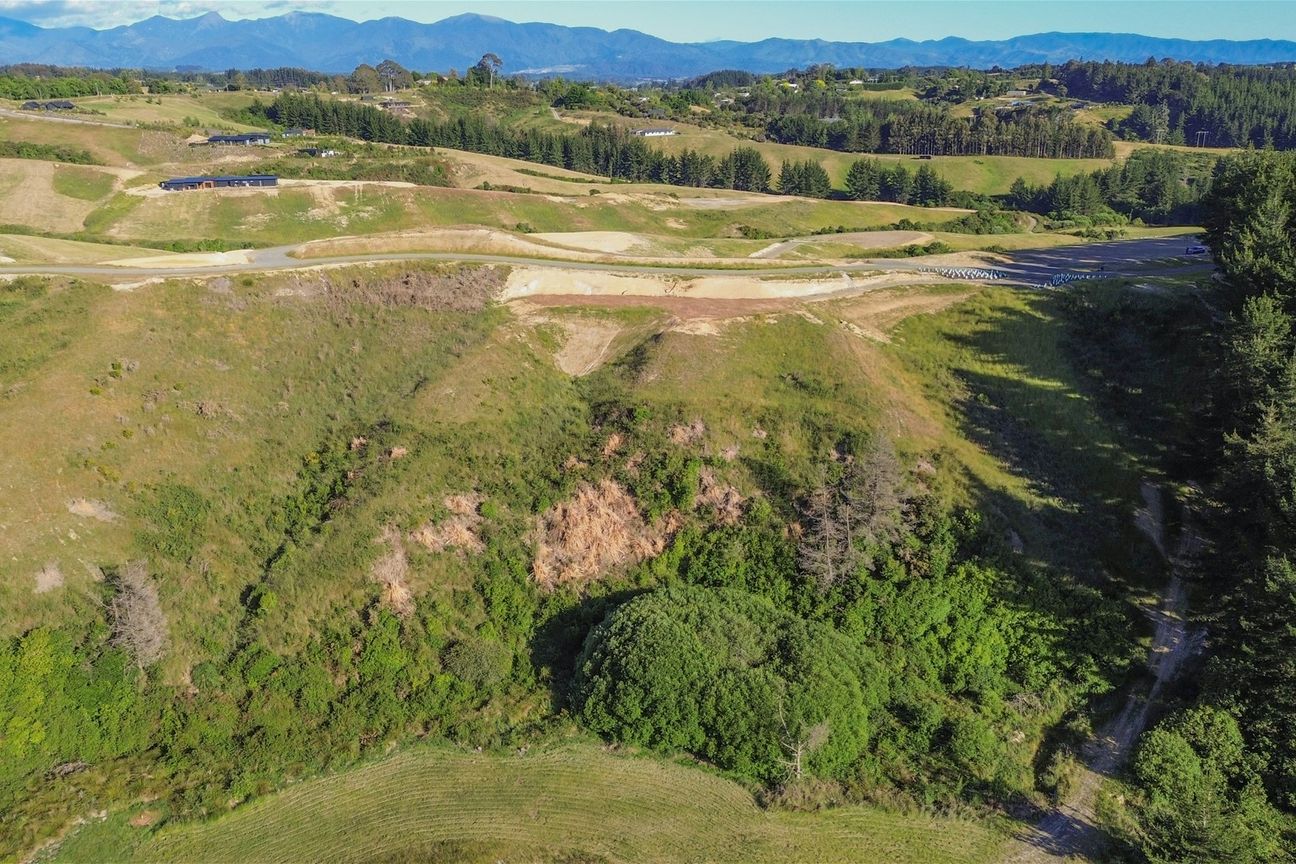 110 Mahana Ridge (Lot 23) - Vista 3
