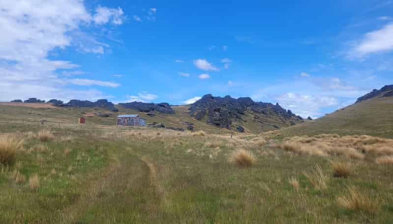 1109 Little Valley Road, Alexandra
