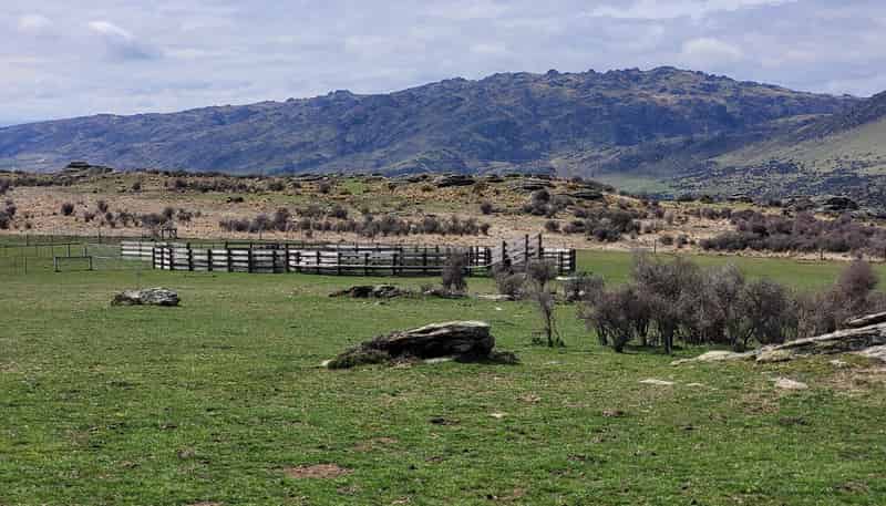 1109 Little Valley Road, Alexandra