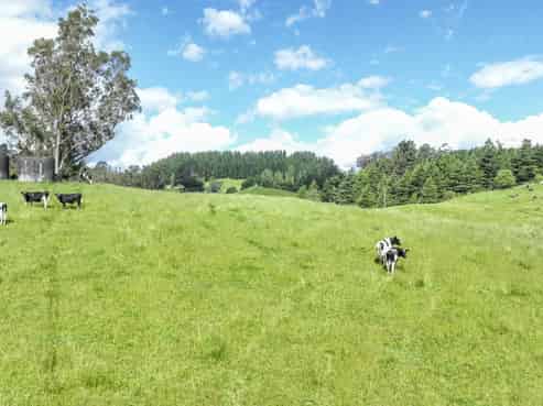  Lots 1 - 15, 2136 Taihape Road, Sherenden
