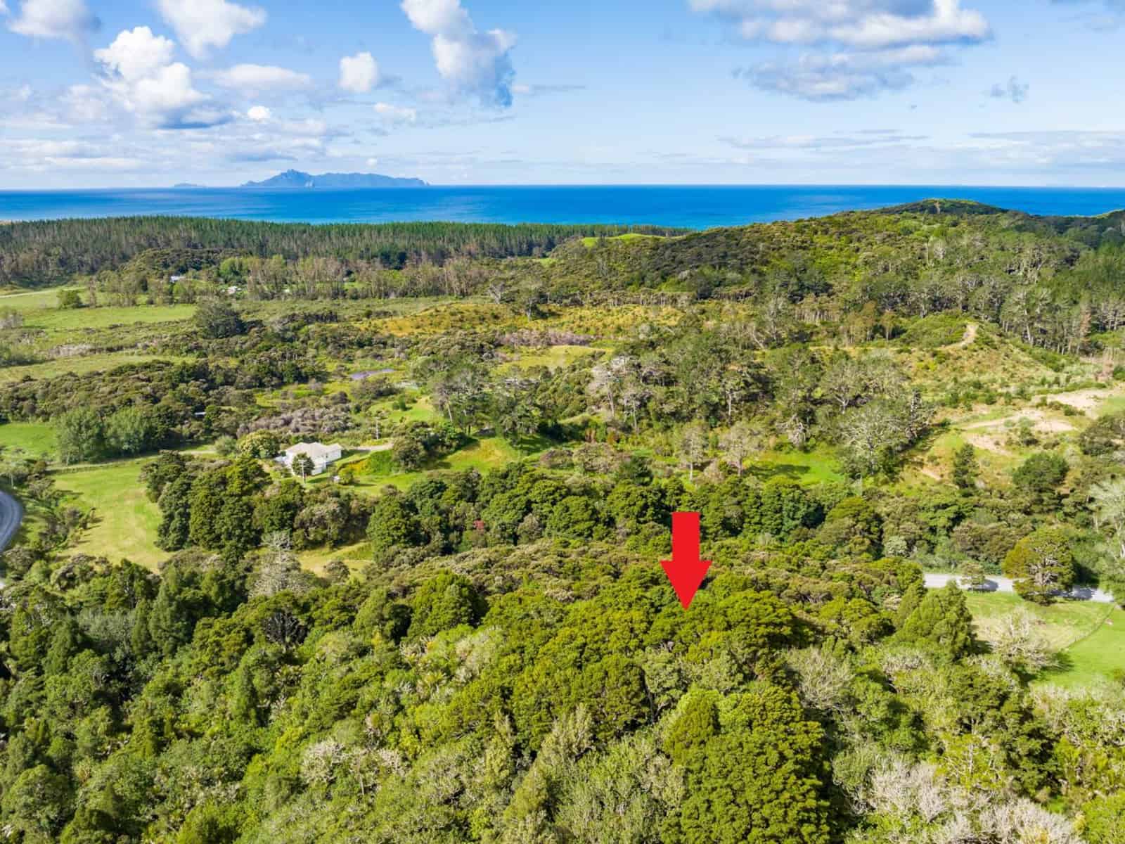 Te Arai Homes and Real Estate for Sale realestate.co.nz