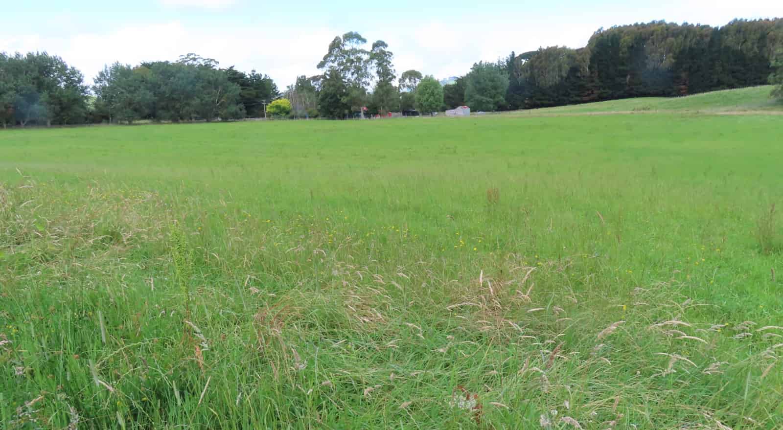 Block 2 Garfield Road, Dannevirke, Tararua For Sale realestate.co.nz