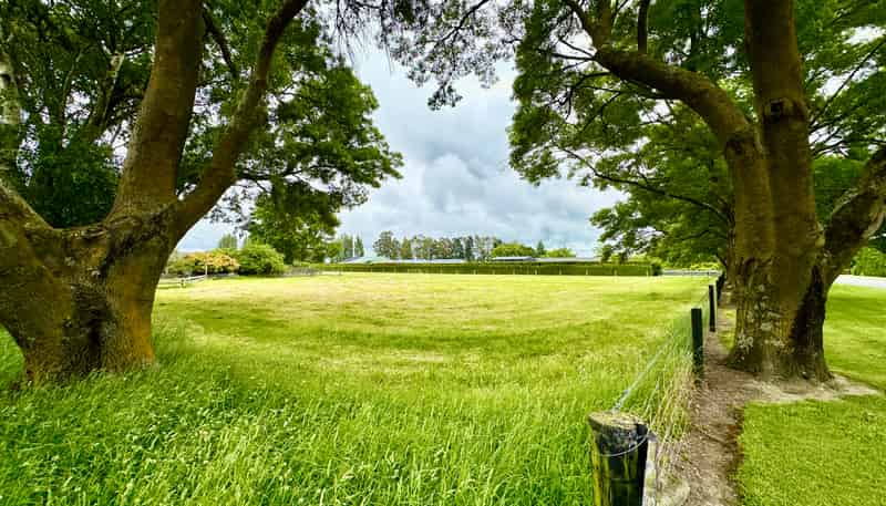 Lot 1, 90 Wilkins Road, Tinwald