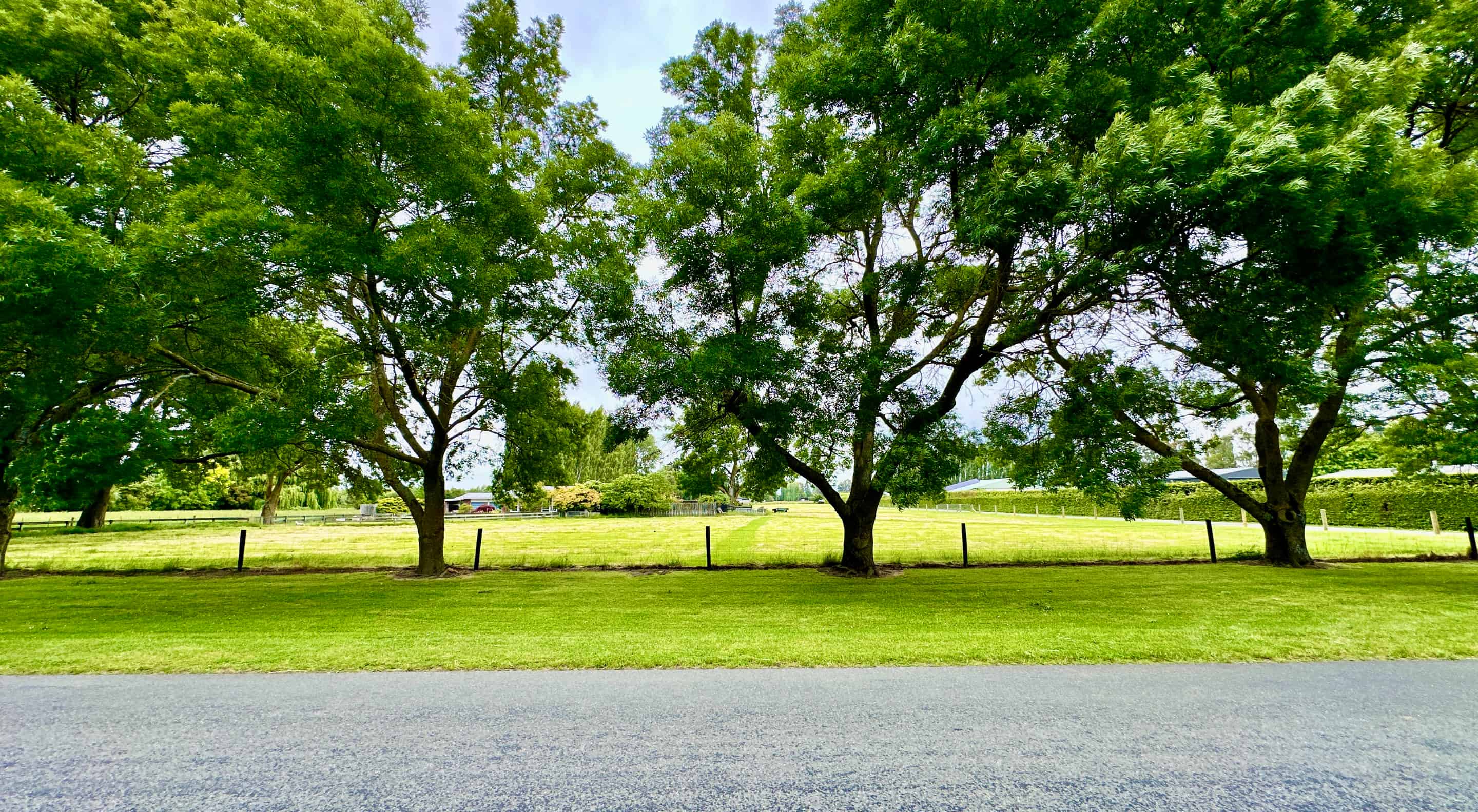 Lot 1, 90 Wilkins Road, Tinwald, Ashburton For Sale realestate.co.nz