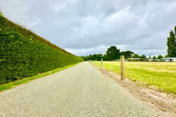 Lot 4, 90 Wilkins Road, Tinwald