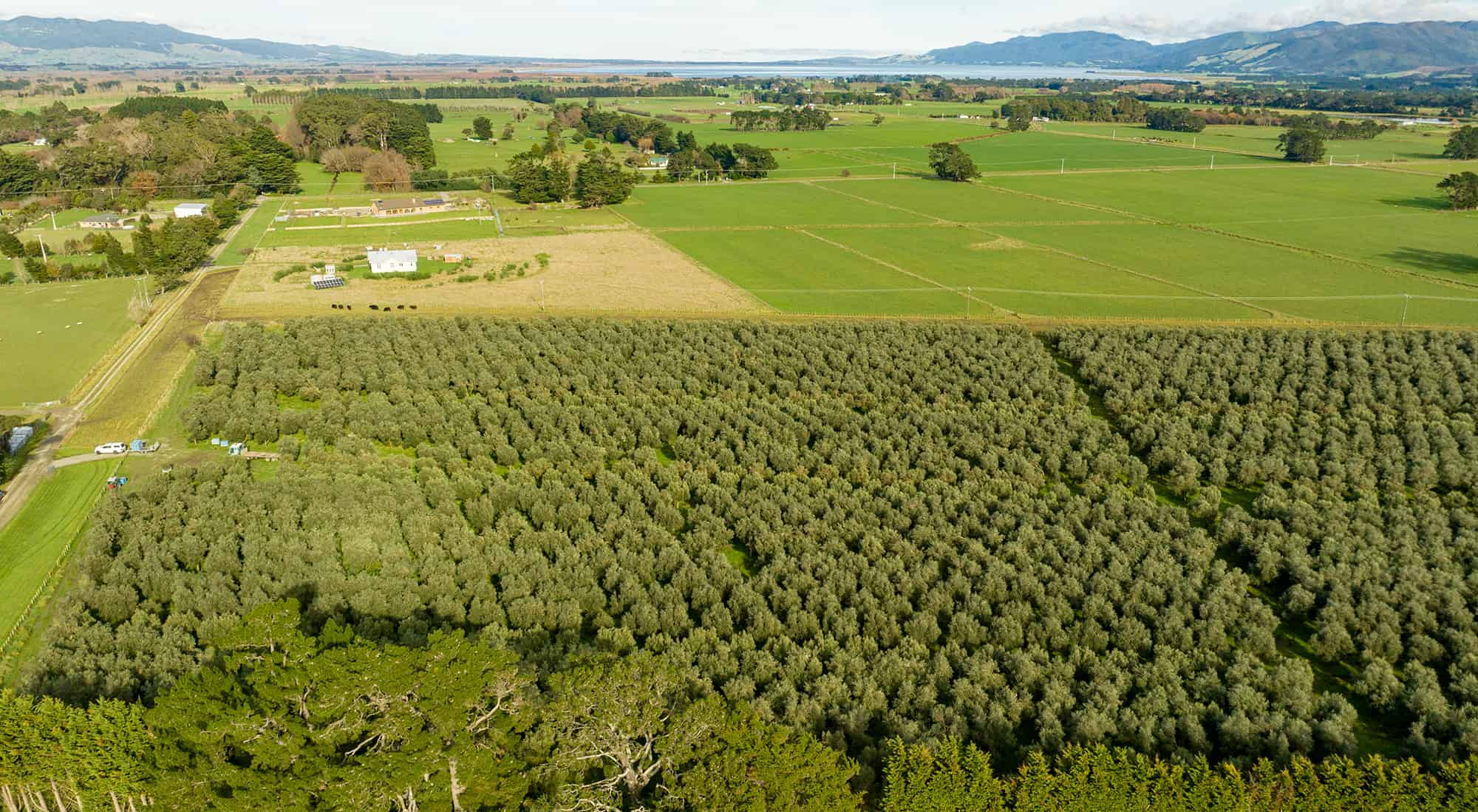 Lot 1/224 State Highway 53, Featherston, South Wairarapa For Sale