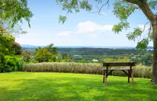 41D Waiau Road, Athenree Gorge