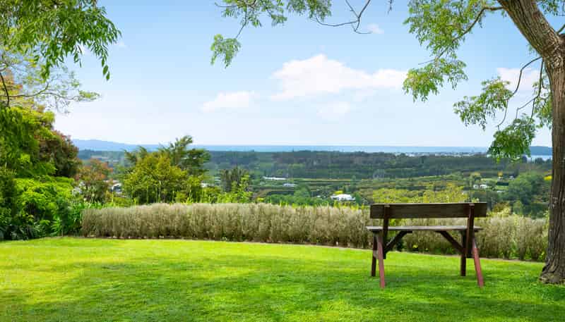 41D Waiau Road, Athenree Gorge