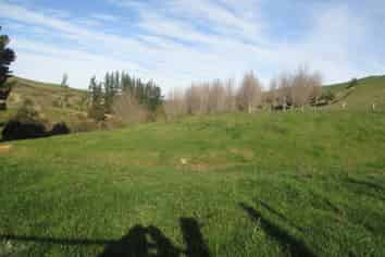 250 Maunga Road, Dannevirke