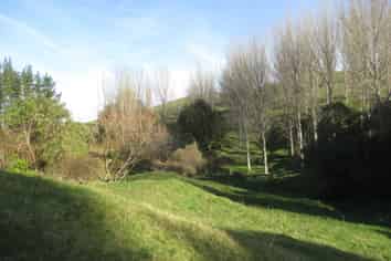 250 Maunga Road, Dannevirke