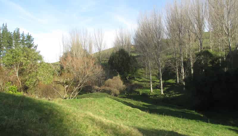 250 Maunga Road, Dannevirke