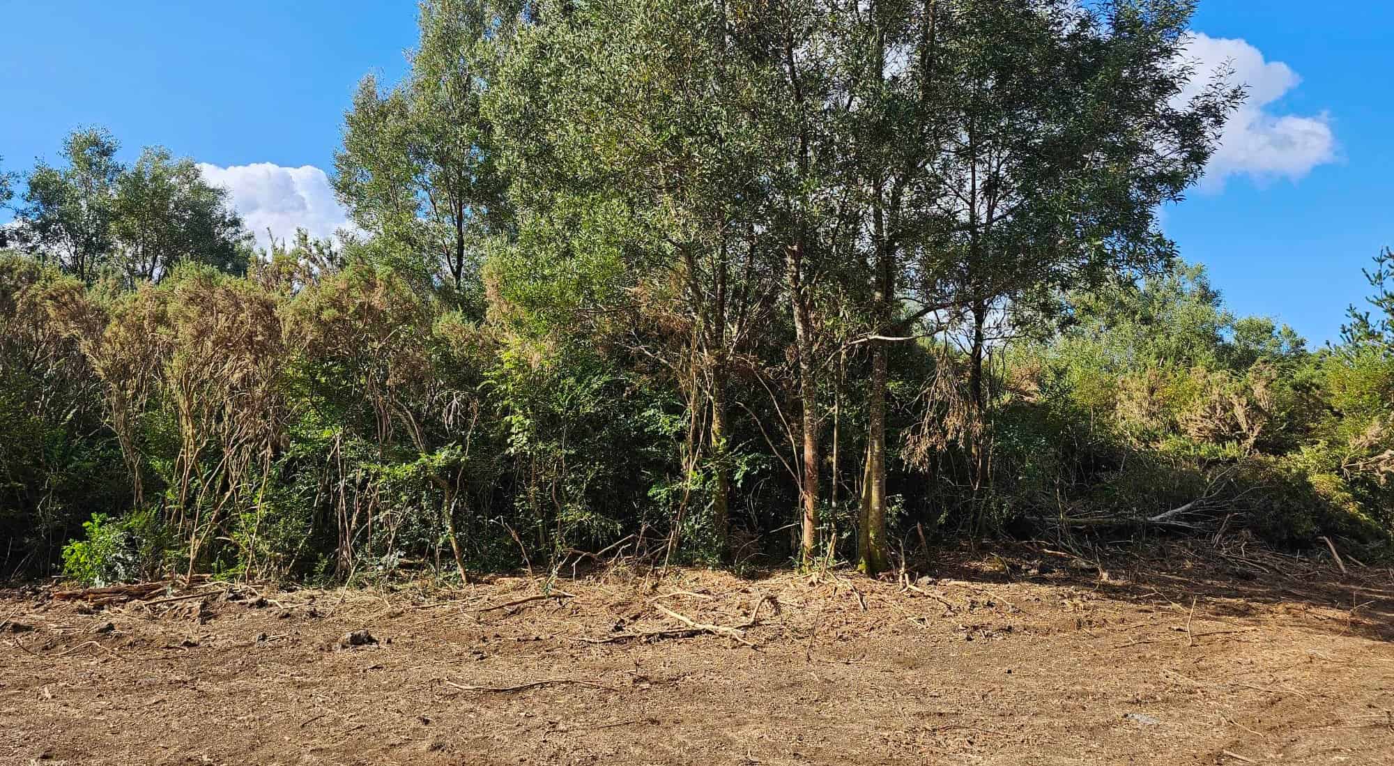 6084 Mangakahia Rd, Kaikohe, Far North For Sale realestate.co.nz