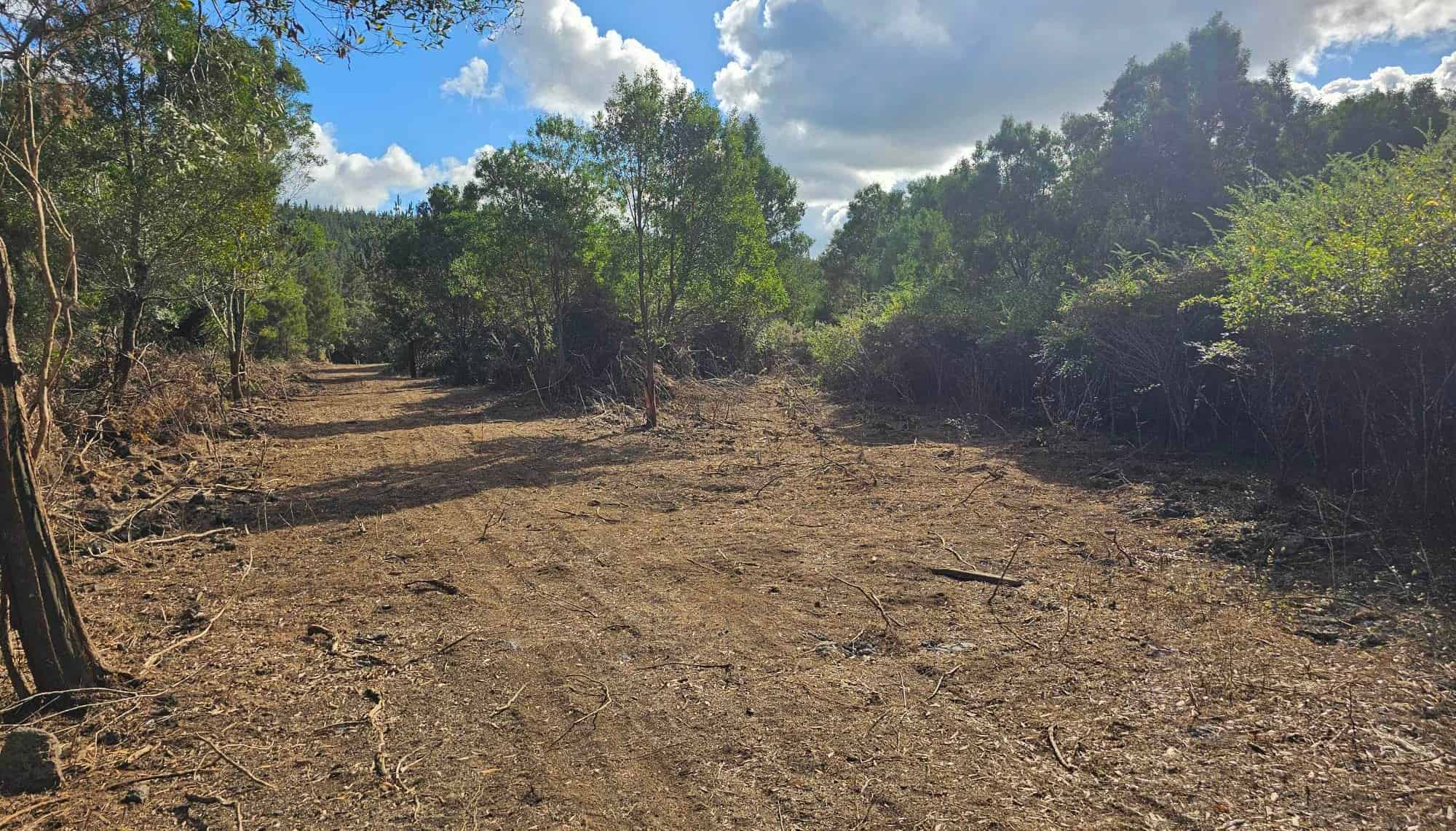 6084 Mangakahia Rd, Kaikohe, Far North For Sale realestate.co.nz