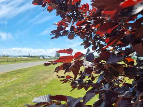  Copper Beech Road, Woodend