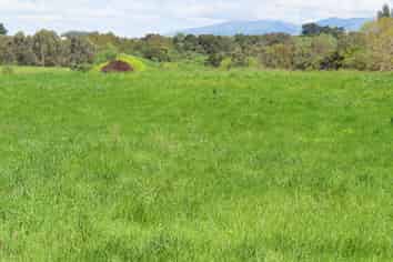 32 Weber Road, Dannevirke