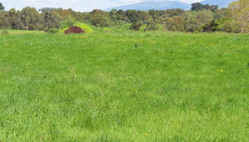 32 Weber Road, Dannevirke
