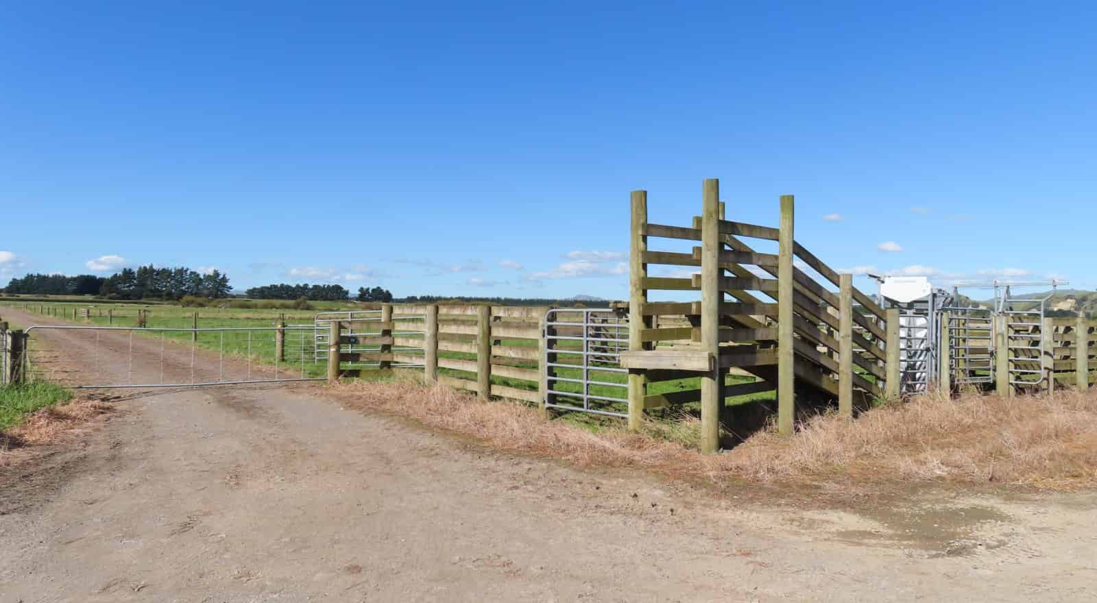 59 Kakahukura Road, Dannevirke, Tararua For Sale realestate.co.nz