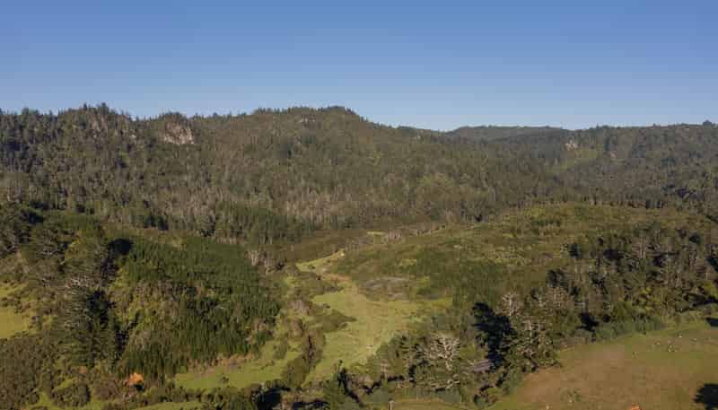 131b Paul Road, Tairua