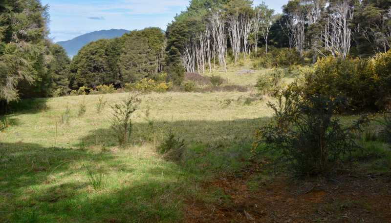 131b Paul Road, Tairua