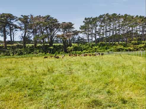 177A Mid Puniho Road Sections, Warea