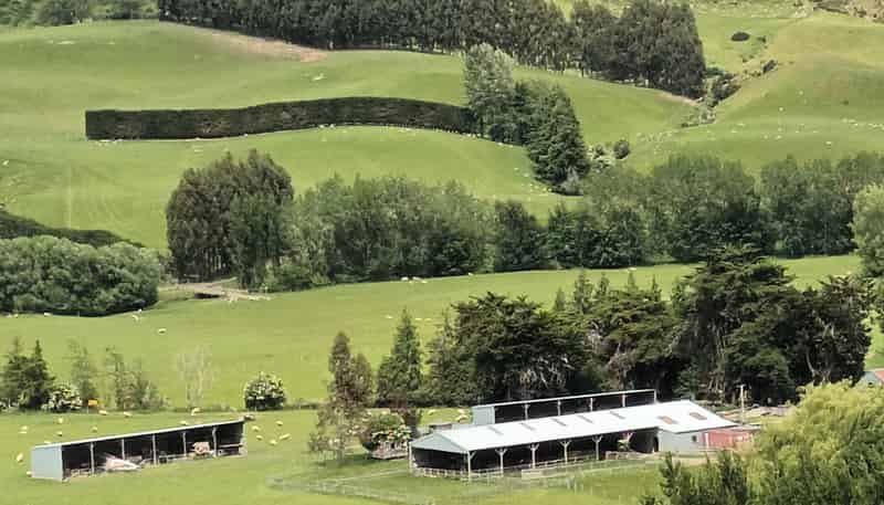 202 Koi Flat Road, Waikoikoi