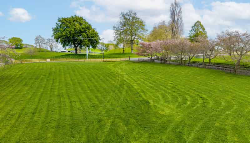 84 Overdale Road, Putaruru