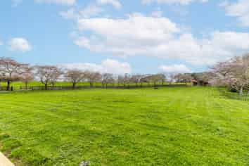 84 Overdale Road, Putaruru