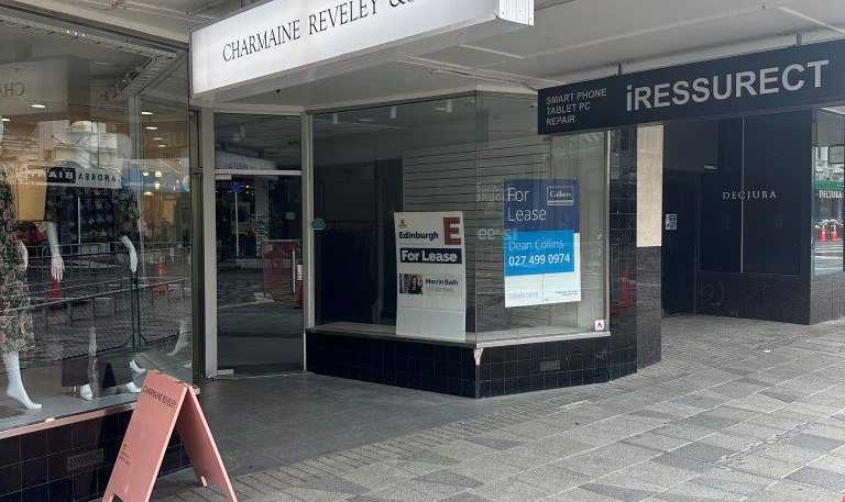 263 George Street, Dunedin Central