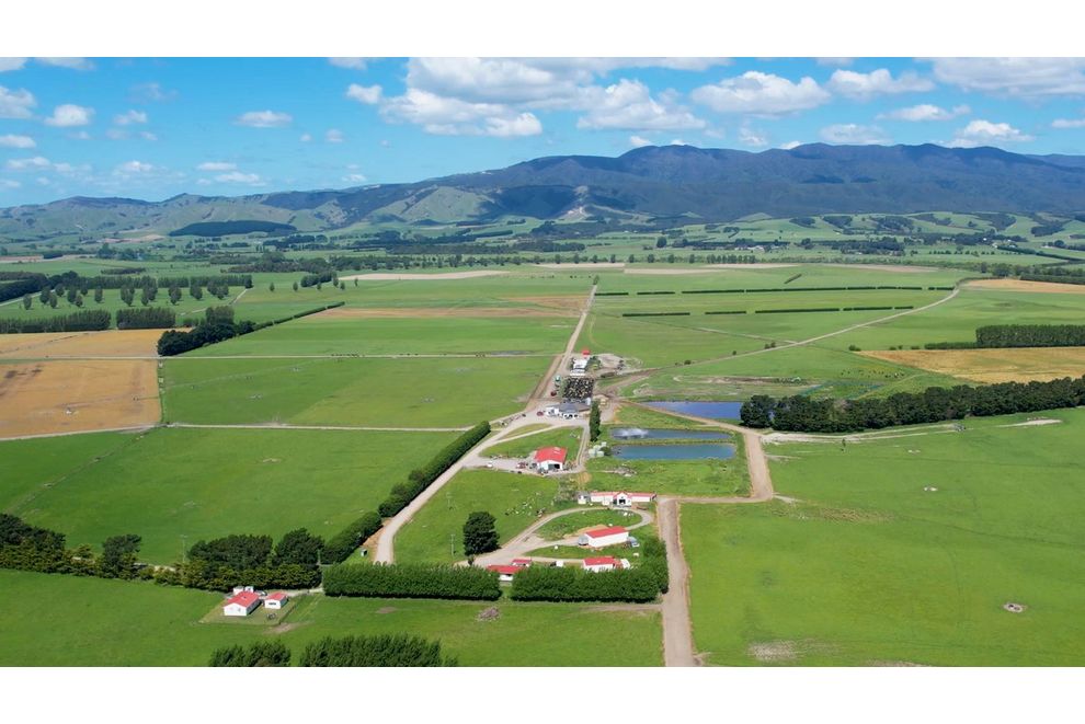 195 Wairio Road, Featherston, South Wairarapa For Sale realestate.co.nz